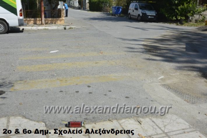 alexandriamou (6)